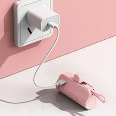 Plug & Play Charger